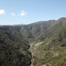 지산농원 이미지