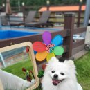 이쁘개즐겁개 이미지