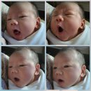 보건의료원 | 출산 후 일상 [산후도우미,산후마사지/ BCG 피내용 접종[울산가족보건의료원]