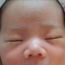 엄조산원 이미지