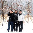 장사해수욕장 이미지