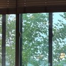 명동쭈꾸미 이미지