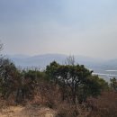 계막농장 이미지