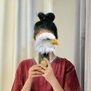바른손지압안마원 | 광명 철산역 국가공인안마지압센터 "광명바른손안마원" 직장인 목,어깨통증 안마후기