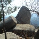 주전초교 이미지