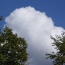 주포초등학교 이미지