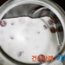 앵두청과