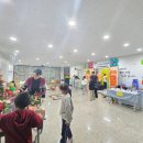 수다벅스