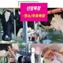 신암목장 이미지