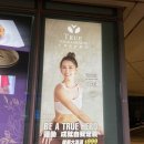 🇹🇼타이페이 헬스장 가격::: 트루 요가피트니스 全真瑜珈健身 True Yoga Fitness