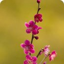 운칠기삼 이미지