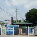 대신철망