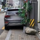 주정차49 네이버블로그