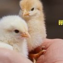 김태현농장 이미지