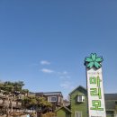 마리모팬션