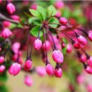 소리풍경 이미지