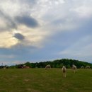 지산목장 이미지