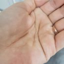 코리아 카 클리닉 이미지