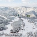Memories On A Warm Night :: Trip To Jazz | 5 Reasons Foreign Travelers Love a “ 1-Night 2-Day Ski Tour in Vivaldi Park” Korea(비발디파크...