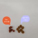 리틀바이트 이미지