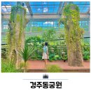 책향기마을14단지 정류장(하행) | 경주동궁원 식물원 주차장 입장료 데이트코스 놀거리 추천