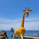 추산노을빛 이미지