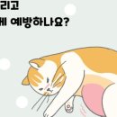 산본동물병원 이미지