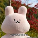 2023년의 10월