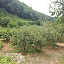 하늘땅부동산중개 이미지