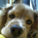 생명의소리Ⅰ 이미지