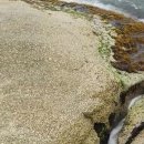 카라반공인중개사사무소 이미지