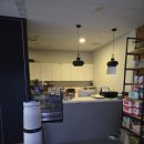 펫퍼스트 24시 강아지분양 고양이분양 이미지