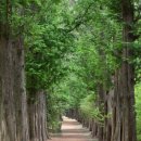 청풍스테이 바다 이미지