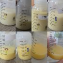 산후조리원 : 2주 / 동대문 / 산후조리원후기 / 린산부인과 / 산후조리 / 이른둥이엄마 / 혼자 산후...