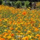 황화농장 이미지