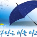 사랑은 비를 타고 이미지