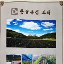 주식회사한솔식품 네이버블로그