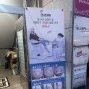 레푸스이천