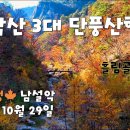 🍁단풍절정 오색 주전골 & 흘림골 🏔설악산/ 설악산 3대 단풍산행지 이미지