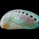 전통자개공예 이미지