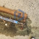 장수한우유전자뱅크 | 전북 장수 한우 유전자뱅크 차량소독기 수리/AS 후기[일신&amp;베코스]