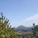 국수바다본점 이미지