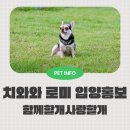 함께할 개 이미지