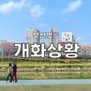 삼락카 이미지