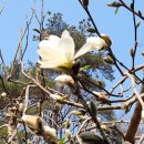 숲속 나들이 펜션 이미지