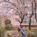 봉황대공원(도로안내판3) | 부산 봄 나들이 | 직접 다녀와서 꼽은 봄에 아이랑 가기 좋은 BEST 6