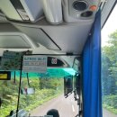 라벤더 주차장 공중화장실 | 삿포로 비에이투어 훗카이도랩 스탠다드 후기 8월 라벤더