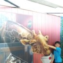 트릭아트뮤지엄 이미지