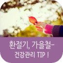 룩스스튜디오
