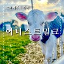 성산 애견농장 | 제주 성산 농장카페 어니스트밀크 본점 아이와 함께 가기 좋은 카페 추천 송아지 우유 주기 체험과 신선...